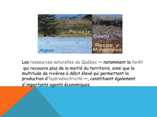 Les  ressources naturelles du Québec  — notamment la  forêt  qui recouvre plus de la moitié du territoire, ainsi que la multitude de rivières à débit élevé qui permettent la production d' hydroélectricité  —, constituent également d'importants agents économiques. 