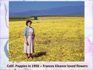Calif. Poppies in 1950 -- Frances Eleanor loved flowers 