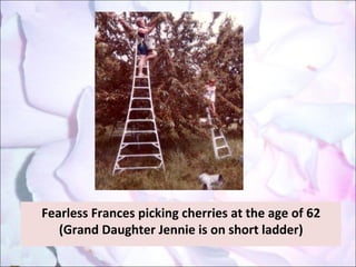 Fearless Frances picking cherries at the age of 62 (Grand Daughter Jennie is on short ladder) 