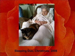 Sleeping Duo, Christmas, 2008 