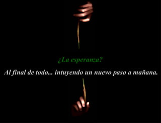¿La esperanza?  Al final de todo... intuyendo un nuevo paso a mañana. 