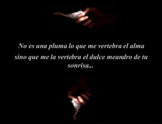 No es una pluma lo que me vertebra el alma sino que me la vertebra el dulce meandro de tu sonrisa...   