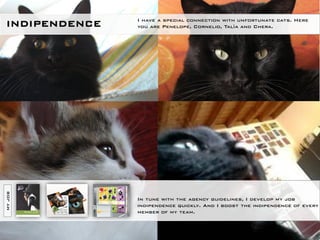 I have a special connection with unfortunate cats. Here
INDIPENDENCE   you are Penelope, Cornelio, Talìa and Chera.
MY JOB




               In tune with the agency guidelines, I develop my job
               indipendence quickly. And I boost the indipendence of every
               member of my team.
 