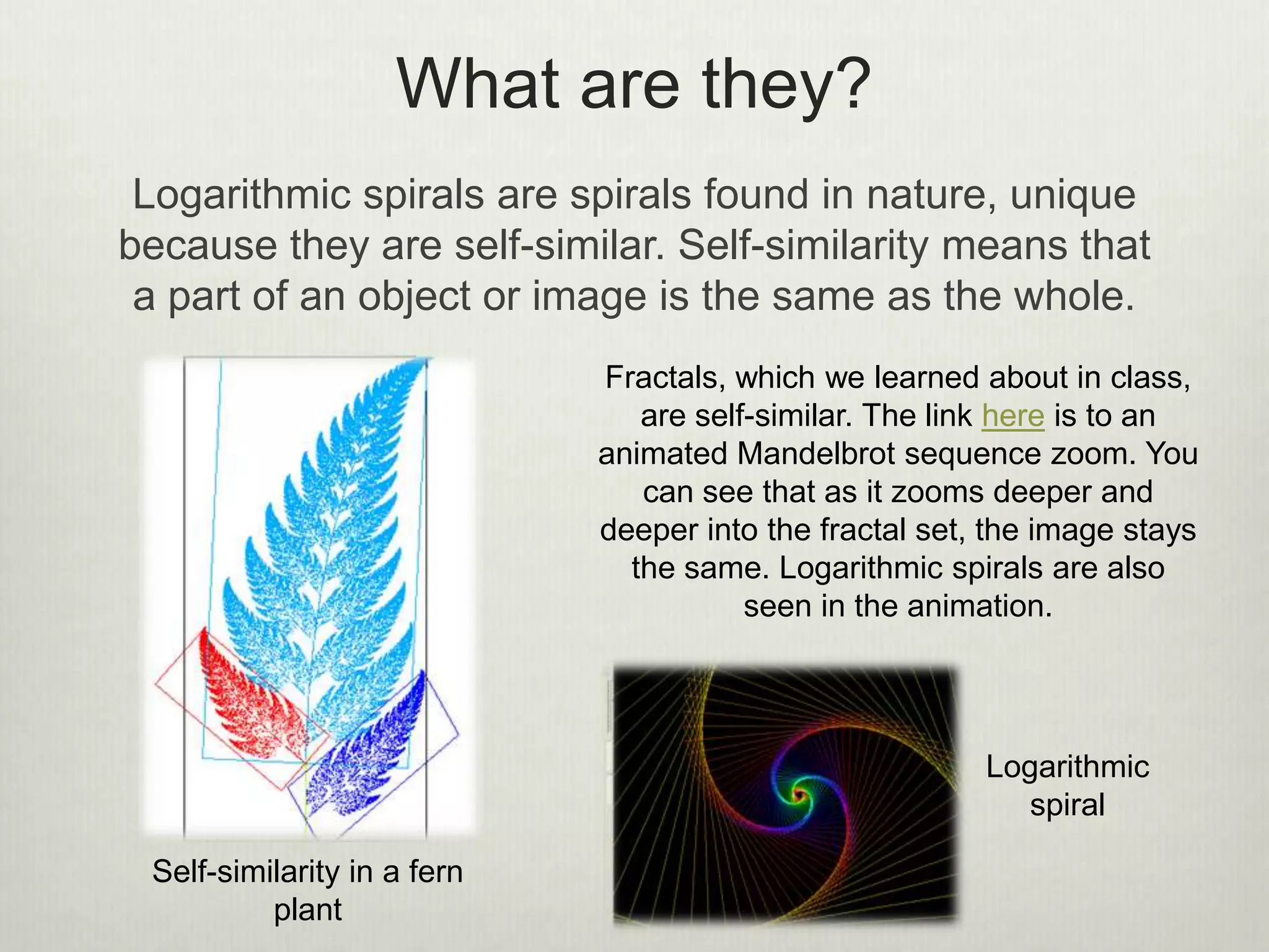 What are they?
Logarithmic spirals are spirals found in nature, unique
because they are self-similar. Self-similarity means that
a part of an object or image is the same as the whole.
Self-similarity in a fern
plant
Fractals, which we learned about in class,
are self-similar. The link here is to an
animated Mandelbrot sequence zoom. You
can see that as it zooms deeper and
deeper into the fractal set, the image stays
the same. Logarithmic spirals are also
seen in the animation.
Logarithmic
spiral
 