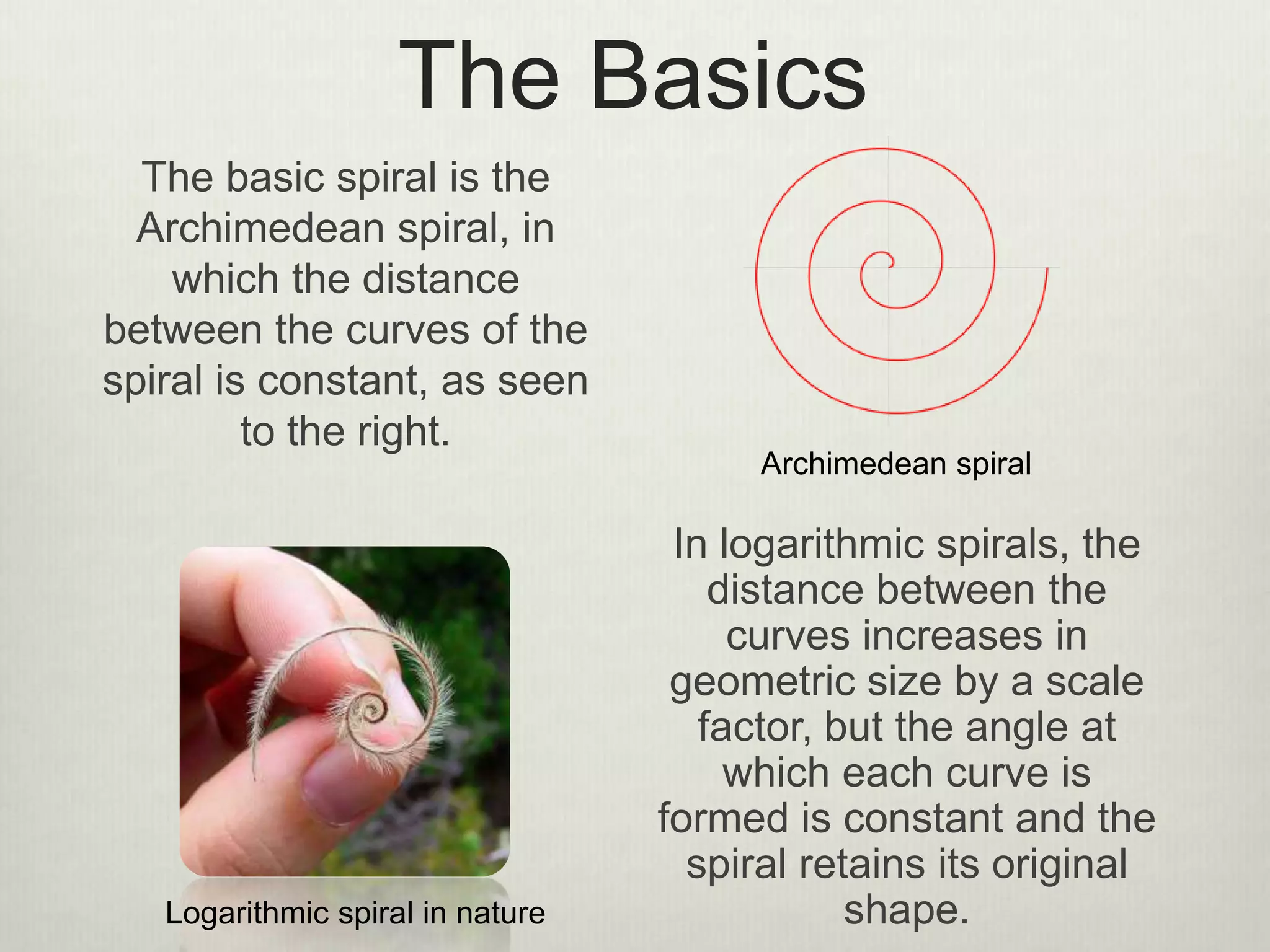 The Basics
The basic spiral is the
Archimedean spiral, in
which the distance
between the curves of the
spiral is constant, as seen
to the right.
In logarithmic spirals, the
distance between the
curves increases in
geometric size by a scale
factor, but the angle at
which each curve is
formed is constant and the
spiral retains its original
shape.
Archimedean spiral
Logarithmic spiral in nature
 