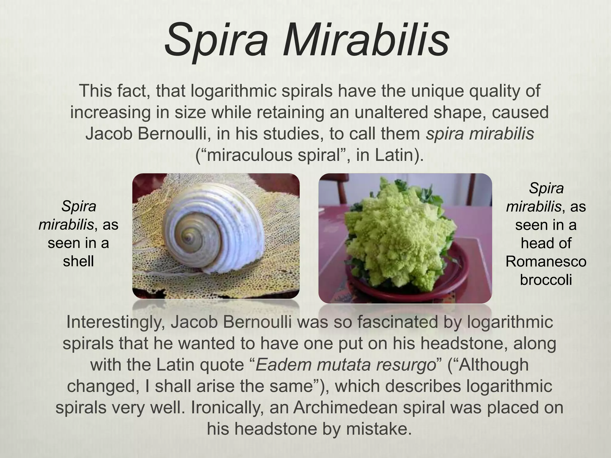 Spira Mirabilis
This fact, that logarithmic spirals have the unique quality of
increasing in size while retaining an unaltered shape, caused
Jacob Bernoulli, in his studies, to call them spira mirabilis
(“miraculous spiral”, in Latin).
Interestingly, Jacob Bernoulli was so fascinated by logarithmic
spirals that he wanted to have one put on his headstone, along
with the Latin quote “Eadem mutata resurgo” (“Although
changed, I shall arise the same”), which describes logarithmic
spirals very well. Ironically, an Archimedean spiral was placed on
his headstone by mistake.
Spira
mirabilis, as
seen in a
shell
Spira
mirabilis, as
seen in a
head of
Romanesco
broccoli
 