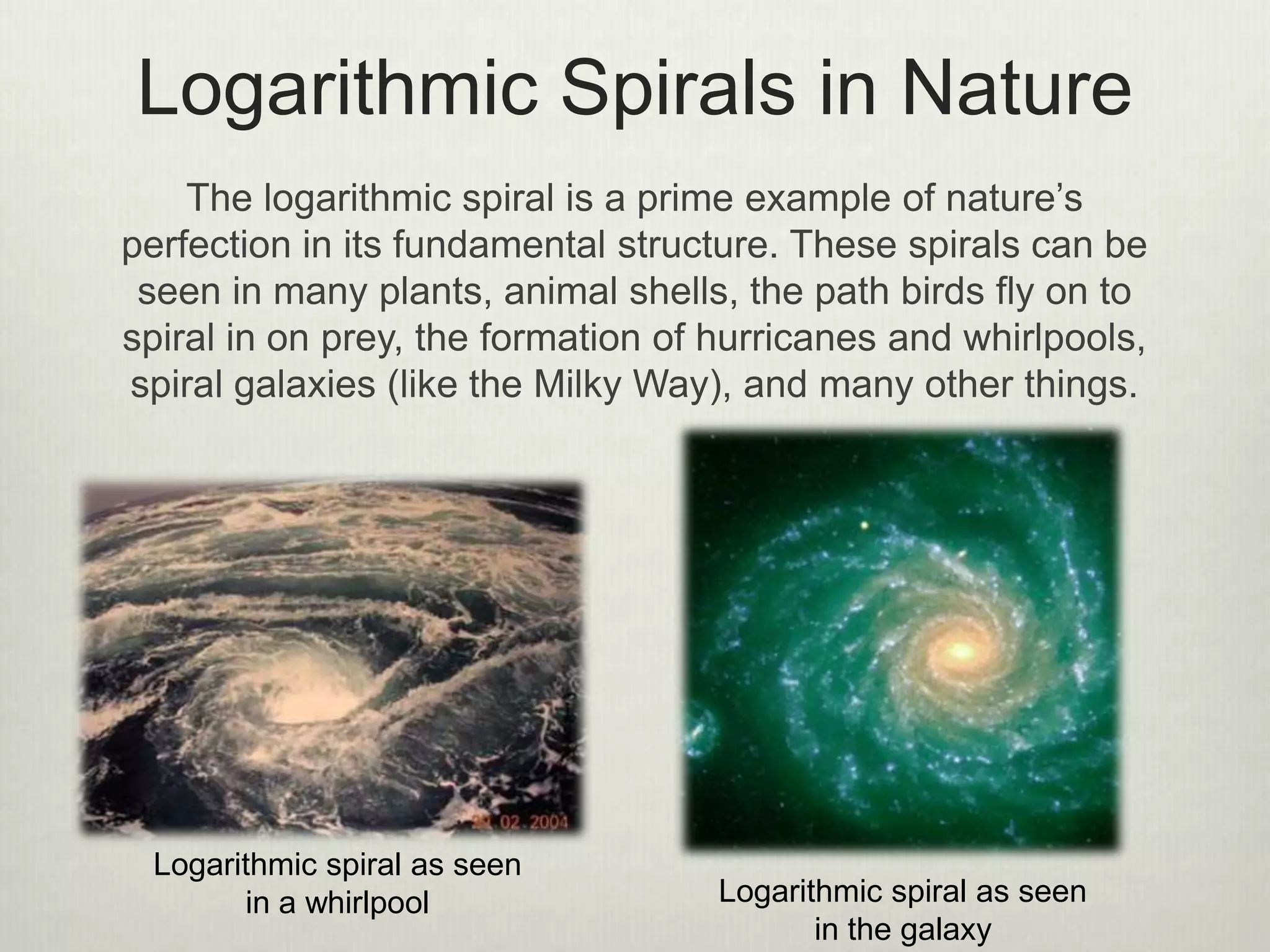 Logarithmic Spirals in Nature
The logarithmic spiral is a prime example of nature’s
perfection in its fundamental structure. These spirals can be
seen in many plants, animal shells, the path birds fly on to
spiral in on prey, the formation of hurricanes and whirlpools,
spiral galaxies (like the Milky Way), and many other things.
Logarithmic spiral as seen
in a whirlpool Logarithmic spiral as seen
in the galaxy
 