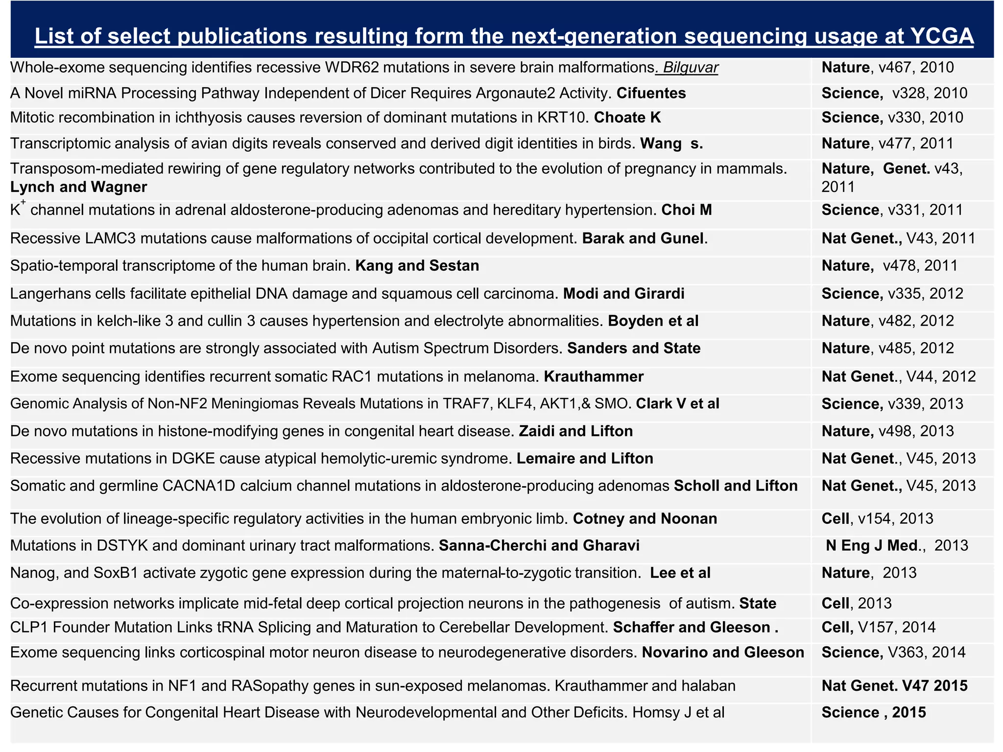 List of select publications resulting form the next-generation sequencing usage at YCGA
Whole-exome sequencing identifies recessive WDR62 mutations in severe brain malformations. Bilguvar Nature, v467, 2010
A Novel miRNA Processing Pathway Independent of Dicer Requires Argonaute2 Activity. Cifuentes Science, v328, 2010
Mitotic recombination in ichthyosis causes reversion of dominant mutations in KRT10. Choate K Science, v330, 2010
Transcriptomic analysis of avian digits reveals conserved and derived digit identities in birds. Wang s. Nature, v477, 2011
Transposom-mediated rewiring of gene regulatory networks contributed to the evolution of pregnancy in mammals.
Lynch and Wagner
Nature, Genet. v43,
2011
K
+
channel mutations in adrenal aldosterone-producing adenomas and hereditary hypertension. Choi M Science, v331, 2011
Recessive LAMC3 mutations cause malformations of occipital cortical development. Barak and Gunel. Nat Genet., V43, 2011
Spatio-temporal transcriptome of the human brain. Kang and Sestan Nature, v478, 2011
Langerhans cells facilitate epithelial DNA damage and squamous cell carcinoma. Modi and Girardi Science, v335, 2012
Mutations in kelch-like 3 and cullin 3 causes hypertension and electrolyte abnormalities. Boyden et al Nature, v482, 2012
De novo point mutations are strongly associated with Autism Spectrum Disorders. Sanders and State Nature, v485, 2012
Exome sequencing identifies recurrent somatic RAC1 mutations in melanoma. Krauthammer Nat Genet., V44, 2012
Genomic Analysis of Non-NF2 Meningiomas Reveals Mutations in TRAF7, KLF4, AKT1,& SMO. Clark V et al Science, v339, 2013
De novo mutations in histone-modifying genes in congenital heart disease. Zaidi and Lifton Nature, v498, 2013
Recessive mutations in DGKE cause atypical hemolytic-uremic syndrome. Lemaire and Lifton Nat Genet., V45, 2013
Somatic and germline CACNA1D calcium channel mutations in aldosterone-producing adenomas Scholl and Lifton Nat Genet., V45, 2013
The evolution of lineage-specific regulatory activities in the human embryonic limb. Cotney and Noonan Cell, v154, 2013
Mutations in DSTYK and dominant urinary tract malformations. Sanna-Cherchi and Gharavi N Eng J Med., 2013
Nanog, and SoxB1 activate zygotic gene expression during the maternal-to-zygotic transition. Lee et al Nature, 2013
Co-expression networks implicate mid-fetal deep cortical projection neurons in the pathogenesis of autism. State Cell, 2013
CLP1 Founder Mutation Links tRNA Splicing and Maturation to Cerebellar Development. Schaffer and Gleeson . Cell, V157, 2014
Exome sequencing links corticospinal motor neuron disease to neurodegenerative disorders. Novarino and Gleeson Science, V363, 2014
Recurrent mutations in NF1 and RASopathy genes in sun-exposed melanomas. Krauthammer and halaban Nat Genet. V47 2015
Genetic Causes for Congenital Heart Disease with Neurodevelopmental and Other Deficits. Homsy J et al Science , 2015
 
