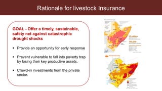 Designing index-based insurance for livestock