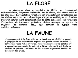 LA FLORE
La végétation dans le territoire de Oniferi est typiquement
méditerranéenne, largement influencée par le climat, des hivers doux et
des étés secs. La végétation forestière est principalement caractérisée par
des chênes verts et des chênes-lièges d'espèces endémiques et à valeur
d'intérêt naturel. Sont caractéristiques de cette zone aussi les formations
d'arbousiers, de lentisques, genévriers, oliviers sauvages, de myrtes, de
bruyères, de romarin, etc., Qui forment la typique flore
«méditerranéenne».
LA FAUNE
L'environnement très favorable sur le territoire de Oniferi a permis
la propagation de nombreuses espèces de grande valeur naturelle. Il
abrite une faune riche et variée. Très fréquents sont le sanglier et
le renard sauvage sarde, le lapin et le lièvre, alors qu'il est facile de
repérer la perdrix, l'outarde et les oiseaux migrateurs comme les
pigeons et les grives.
 