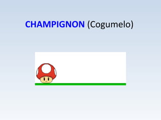 CHAMPIGNON (Cogumelo)
 