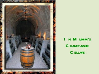 In Mumm's Champagne Cellars 