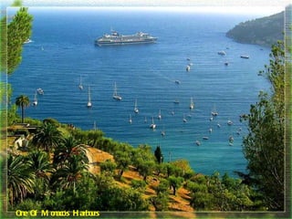 One Of Monaco's Harbours 