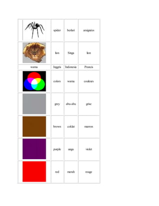 spider berlari araignées
lion Singa lion
warna Inggris Indonesia Prancis
colors warna couleurs
grey abu-abu grise
brown coklat marron
purple ungu violet
red merah rouge
 