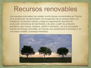 Recursos renovables
Las energías renovables han estado mucho tiempo concentradas en Francia
en la producción de electricidad, con la aparición de un parque eólico y la
instalación de paneles solares y luego la cogeneración (proceso de
producción simultánea de electricidad y de calor a partir de productos
petroleros, gas natural, residuos, carbón o biomasa). Las dos principales
fuentes de energía renovable, en Francia, son actualmente la biomasa y, en
una menor medida, la energía hidráulica.
 