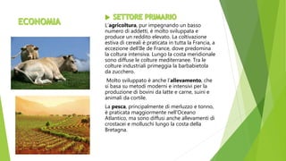 L’agricoltura, pur impegnando un basso
numero di addetti, è molto sviluppata e
produce un reddito elevato. La coltivazione
estiva di cereali è praticata in tutta la Francia, a
eccezione dell’Ile de France, dove predomina
la coltura intensiva. Lungo la costa meridionale
sono diffuse le colture mediterranee. Tra le
colture industriali primeggia la barbabietola
da zucchero.
Molto sviluppato è anche l’allevamento, che
si basa su metodi moderni e intensivi per la
produzione di bovini da latte e carne, suini e
animali da cortile.
La pesca, principalmente di merluzzo e tonno,
è praticata maggiormente nell’Oceano
Atlantico, ma sono diffusi anche allevamenti di
crostacei e molluschi lungo la costa della
Bretagna.
 
