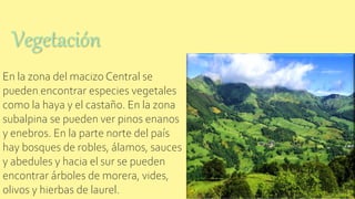 En la zona del macizo Central se
pueden encontrar especies vegetales
como la haya y el castaño. En la zona
subalpina se pueden ver pinos enanos
y enebros. En la parte norte del país
hay bosques de robles, álamos, sauces
y abedules y hacia el sur se pueden
encontrar árboles de morera, vides,
olivos y hierbas de laurel.
Vegetación
 