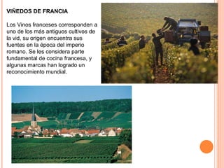 VIÑEDOS DE FRANCIA Los Vinos franceses corresponden a uno de los más antiguos cultivos de la vid, su origen encuentra sus fuentes en la época del imperio romano. Se les considera parte fundamental de cocina francesa, y algunas marcas han logrado un reconocimiento mundial. 