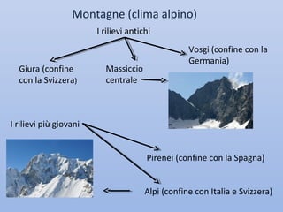 Montagne (clima alpino)
                        I rilievi antichi
                                                   Vosgi (confine con la
                                                   Germania)
  Giura (confine          Massiccio
  con la Svizzera)        centrale



I rilievi più giovani


                                       Pirenei (confine con la Spagna)


                                       Alpi (confine con Italia e Svizzera)
 