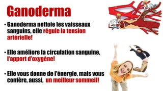 Ganoderma
• Ganoderma nettoie les vaisseaux
sanguins, elle régule la tension
artérielle!
• Elle améliore la circulation sanguine,
l'apport d'oxygène!
• Elle vous donne de l'énergie, mais vous
confère, aussi, un meilleur sommeil!
 