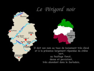 Le Périgord noirLe Périgord noir
Il doit son nom au taux de boisement très élevéIl doit son nom au taux de boisement très élevé
et à la présence largement répandue du chêneet à la présence largement répandue du chêne
vert,vert,
au feuillage foncé,au feuillage foncé,
dense et persistant,dense et persistant,
très abondant dans le Sarladaistrès abondant dans le Sarladais..
PérigordPérigord
noirnoir
 