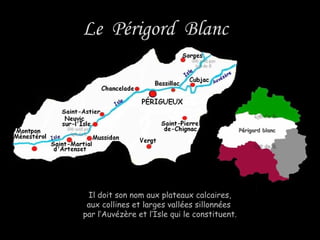 Le Périgord BlancLe Périgord Blanc
Il doit son nom aux plateaux calcaires,Il doit son nom aux plateaux calcaires,
aux collines et larges vallées sillonnéesaux collines et larges vallées sillonnées
par l’Auvézère et l’Isle qui le constituent.par l’Auvézère et l’Isle qui le constituent.
Périgord blancPérigord blanc
 