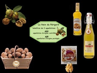 La Noix du Périgord
bénéficie de 2 appellations :
AOCAOC::
appellation d’origine contrôlée
AOPAOP:
appellation d’origine protégée
 