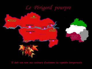 Le Périgord pourpreLe Périgord pourpre
Il doit son nom aux couleurs d’automne du vignoble bergeracoisIl doit son nom aux couleurs d’automne du vignoble bergeracois
PérigordPérigord
pourprepourpre
 