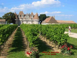 Château de MonbazillacChâteau de Monbazillac
et son vignobleet son vignoble
 