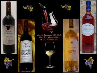 vins dvins dee BergeracBergerac (13 AOC)(13 AOC)
dont les Monbazillacdont les Monbazillac
et les Pécharmant…et les Pécharmant…
 