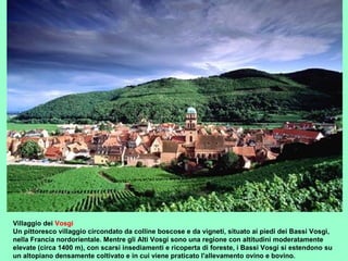 Villaggio dei Vosgi
Un pittoresco villaggio circondato da colline boscose e da vigneti, situato ai piedi dei Bassi Vosgi,
nella Francia nordorientale. Mentre gli Alti Vosgi sono una regione con altitudini moderatamente
elevate (circa 1400 m), con scarsi insediamenti e ricoperta di foreste, i Bassi Vosgi si estendono su
un altopiano densamente coltivato e in cui viene praticato l'allevamento ovino e bovino.
 