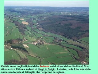 Veduta aerea degli altipiani delle Ardenne nei dintorni della cittadina di Spa,
situata circa 25 km a sud-est di Liegi, in Belgio. A destra, nella foto, una delle
numerose foreste di latifoglie che ricoprono la regione.
 