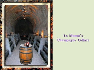 In Mumm's Champagne Cellars 