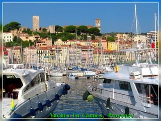 Yachts In Cannes, Provence 