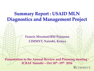 Summary Report : USAID MLN
Diagnostics and Management Project
Francis Mwatuni/BM Prasanna
CIMMYT, Nairobi, Kenya
Presentation to the Annual Review and Planning meeting -
ICRAF Nairobi – Oct 18th -19th 2016
 