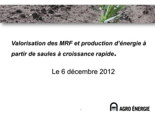 Valorisation des MRF et production d’énergie à
partir de saules à croissance rapide.


              Le 6 décembre 2012




                        1
 
