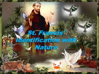 St. Francis’
Identification with
Nature
 