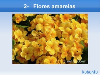 2-  Flores amarelas 