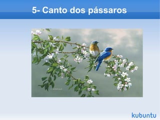 5- Canto dos pássaros 