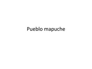 Pueblo mapuche
 