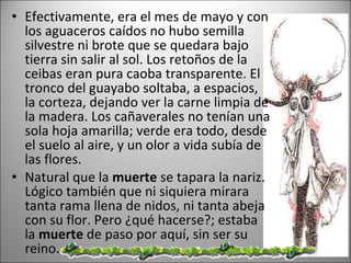 Efectivamente, era el mes de mayo y con los aguaceros caídos no hubo semilla silvestre ni brote que se quedara bajo tierra sin salir al sol. Los retoños de la ceibas eran pura caoba transparente. El tronco del guayabo soltaba, a espacios, la corteza, dejando ver la carne limpia de la madera. Los cañaverales no tenían una sola hoja amarilla; verde era todo, desde el suelo al aire, y un olor a vida subía de las flores.  Natural que la  muerte  se tapara la nariz. Lógico también que ni siquiera mirara tanta rama llena de nidos, ni tanta abeja con su flor. Pero ¿qué hacerse?; estaba la  muerte  de paso por aquí, sin ser su reino.  