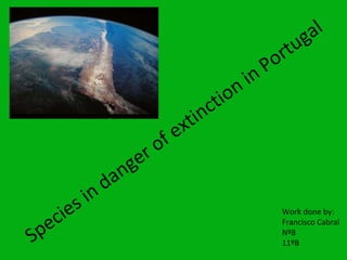 Species in danger of extinction in Portugal Work done by: Francisco Cabral  Nº8 11ºB 