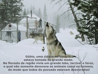 Gúbio, uma cidade na Úmbria,  estava tomada de grande medo.  Na floresta da região vivia um grande lobo, terrível e feroz,  o qual não somente devorava os animais como os homens,  de modo que todos do povoado estavam apavorados! 