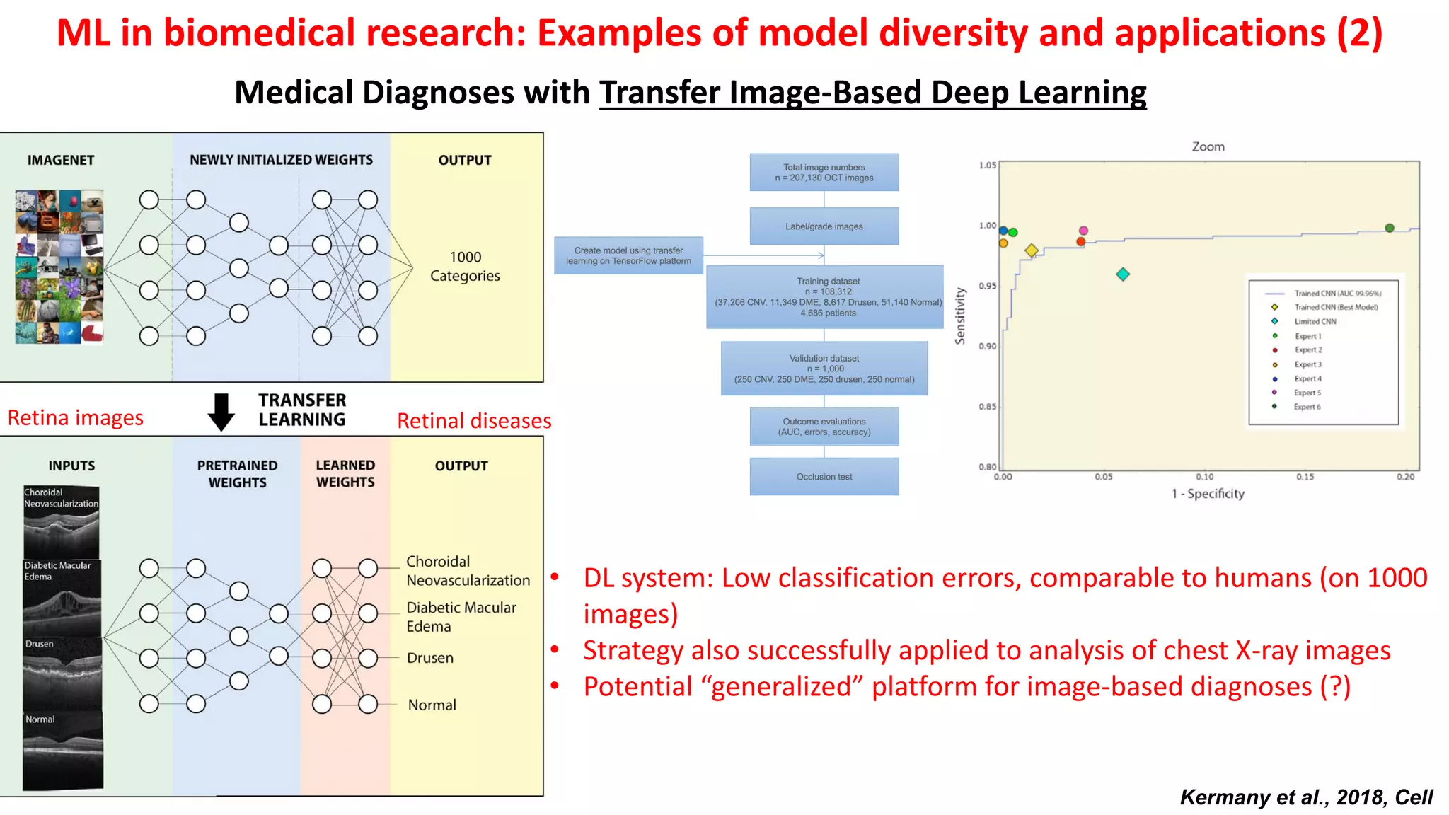 ML in biomedical research: Examples of model diversity and applications (2)
Kermany et al., 2018, Cell
Medical Diagnoses with Transfer Image-Based Deep Learning
Retina images Retinal diseases
• DL system: Low classification errors, comparable to humans (on 1000
images)
• Strategy also successfully applied to analysis of chest X-ray images
• Potential “generalized” platform for image-based diagnoses (?)
 