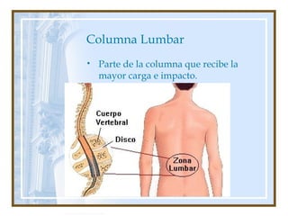 Autor: Rafael Pineda
Columna Lumbar
• Parte de la columna que recibe la
mayor carga e impacto.
 