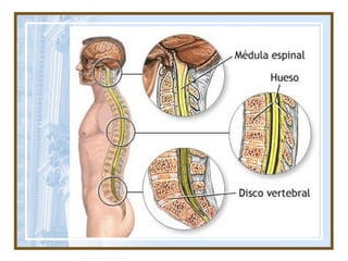 Autor: Rafael Pineda
 