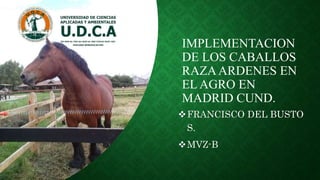 IMPLEMENTACION
DE LOS CABALLOS
RAZAARDENES EN
EL AGRO EN
MADRID CUND.
FRANCISCO DEL BUSTO
S.
MVZ-B
 