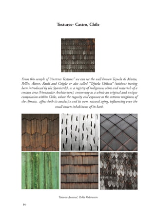 14
Texturas Austeras’, Pablo Rubinstein
Textures– Castro, Chile
From this sample of “Austeras Textures” we can see the well known Tejuela de Mañío,
Pellín, Alerce, Raulí and Coigüe or also called “Tejuela Chilota” (without having
been introduced by the Spaniards), as a registry of indigenous skins and materials of a
certain area (Vernacular Architecture), conserving as a whole an original and unique
composition within Chile, where the rugosity and exposure to the extreme roughness of
the climate, affect both its aesthetics and its own natural aging, influencing even the
small insects inhabitants of its bark.
 