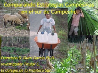 Comparando Estrategias Campesinas en el sur de Campeche Francisco D. Gurri García Ph.D. Investigador Titular C, El Colegio de la Frontera Sur. 
