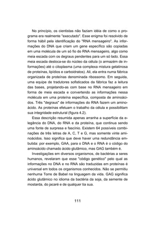 111
No princípio, os cientistas não faziam idéia de como o pro-
grama era realmente "executado". Esse enigma foi resolvido de
forma hábil pela identificação do "RNA mensageiro". As infor-
mações do DNA que criam um gene específico são copiadas
em uma molécula de um só fio do RNA mensageiro, algo como
meia escada com os degraus pendentes para um só lado. Essa
meia escada desloca-se do núcleo da célula (o armazém de in-
formações) até o citoplasma (uma complexa mistura gelatinosa
de proteínas, lipídios e carboidratos). Ali, ela entra numa fábrica
organizada de proteínas denominada ribossomo. Em seguida,
uma equipe de tradutores sofisticados da fábrica faz a leitura
das bases, projetando-as com base no RNA mensageiro em
forma de meia escada e convertendo as informações nessa
molécula em uma proteína específica, composta de aminoáci-
dos. Três "degraus" de informações do RNA fazem um amino-
ácido. As proteínas efetuam o trabalho da célula e possibilitam
sua integridade estrutural (figura 4.2).
Essa descrição resumida apenas arranha a superfície da e-
legância do DNA, do RNA e da proteína, que continua sendo
uma fonte de surpresa e fascínio. Existem 64 possíveis combi-
nações de três letras de A, C, T e G, mas somente vinte ami-
noácidos. Isso significa que deve haver uma redundância em-
butida: por exemplo, GAA, para o DNA e o RNA é o código do
aminoácido chamado ácido glutâmico, mas GAG também é.
Investigações em diversos organismos, de bactérias a seres
humanos, revelaram que esse "código genético" pelo qual as
informações no DNA e no RNA são traduzidas em proteínas é
universal em todos os organismos conhecidos. Não se permitiu
nenhuma Torre de Babel na linguagem da vida. GAG significa
ácido glutâmico no idioma da bactéria da soja, da semente de
mostarda, do jacaré e de qualquer tia sua.
 